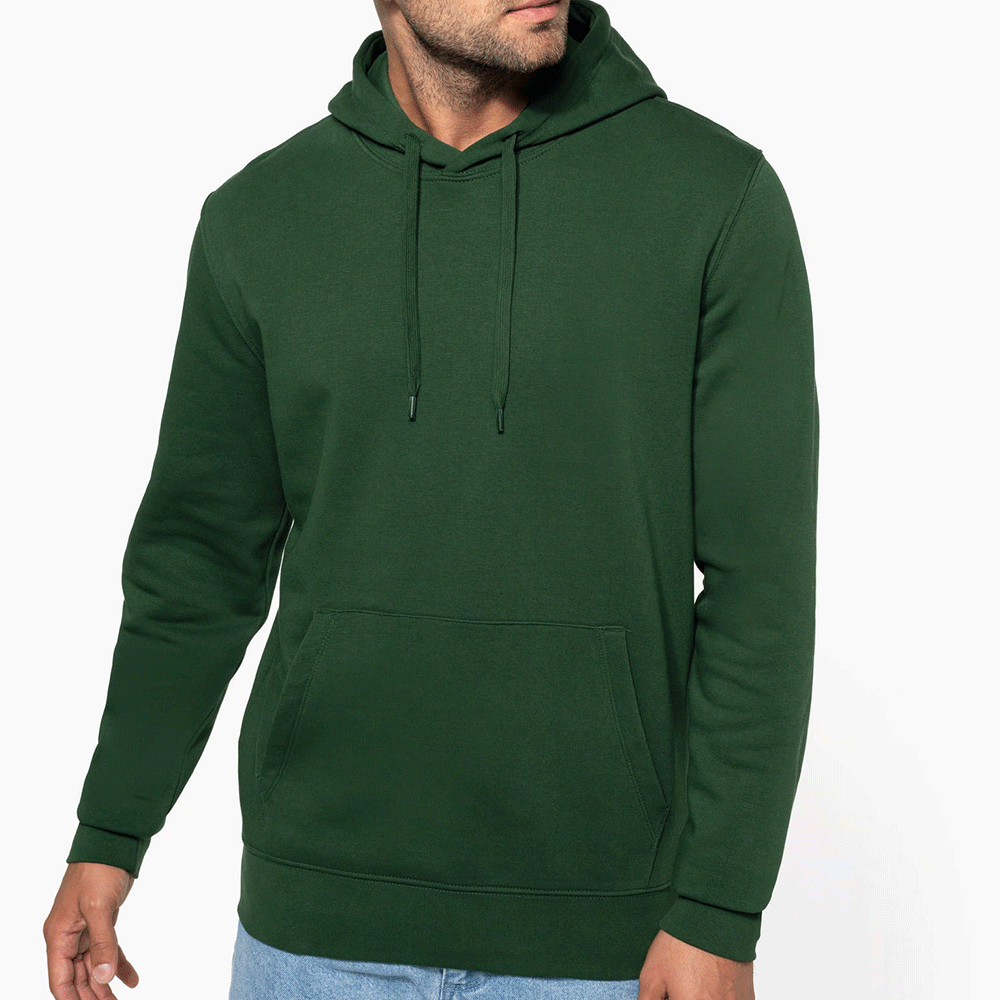 Sweat capuche Paul